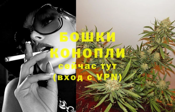 СК Михайловск