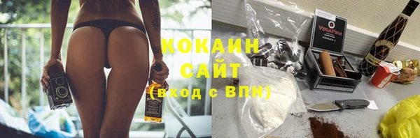 индика Медвежьегорск