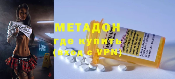 индика Медвежьегорск