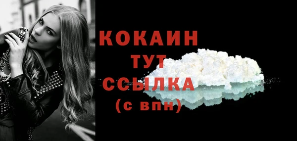 соль ск Мегион