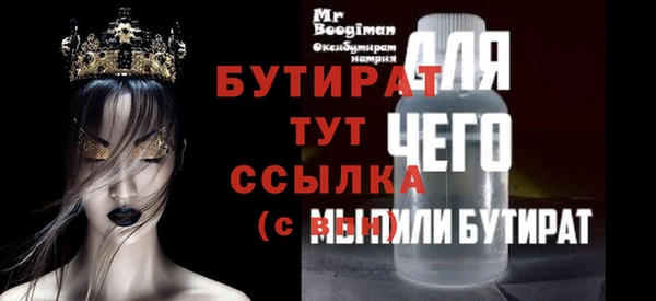 индика Медвежьегорск