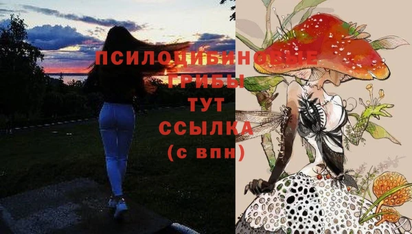 бутират Медногорск