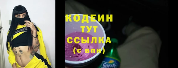 индика Медвежьегорск