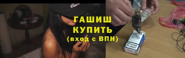 индика Медвежьегорск