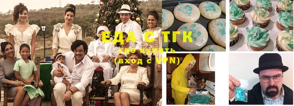 индика Медвежьегорск
