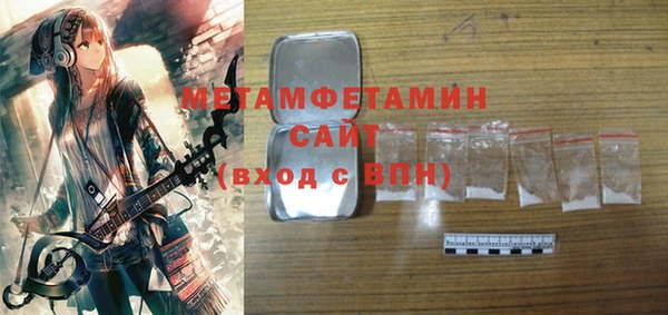 индика Медвежьегорск