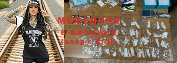 индика Медвежьегорск