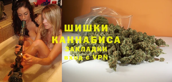 индика Медвежьегорск