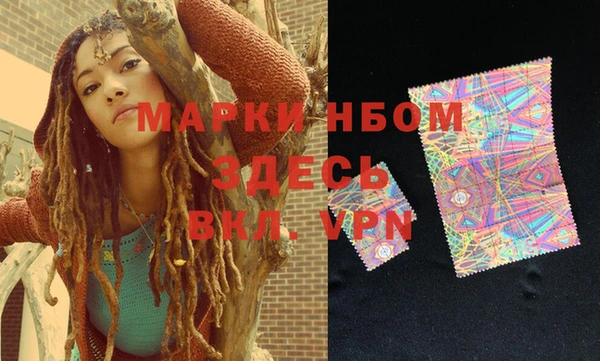 индика Медвежьегорск