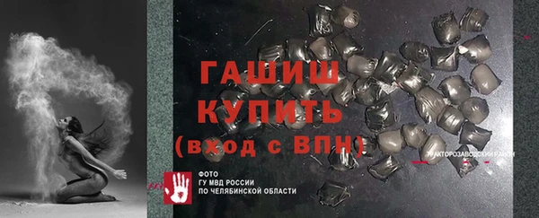 индика Медвежьегорск