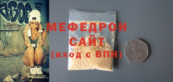 индика Медвежьегорск