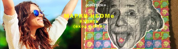 индика Медвежьегорск