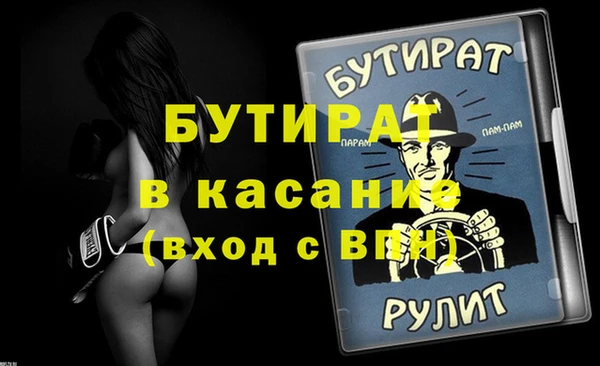 индика Медвежьегорск
