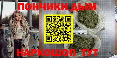 шишки Гагарин