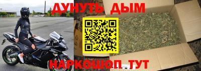 шишки Гагарин