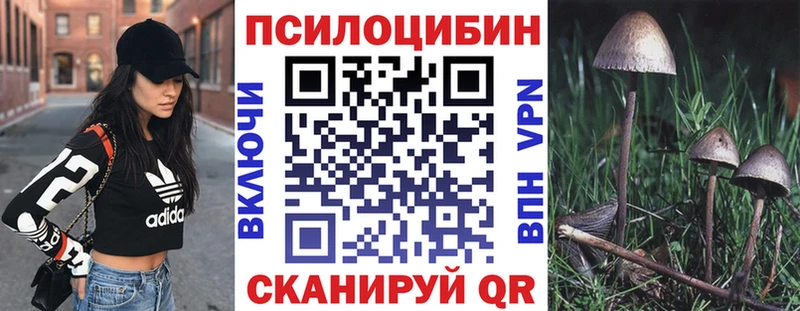 Галлюциногенные грибы мицелий цены Пыть-Ях